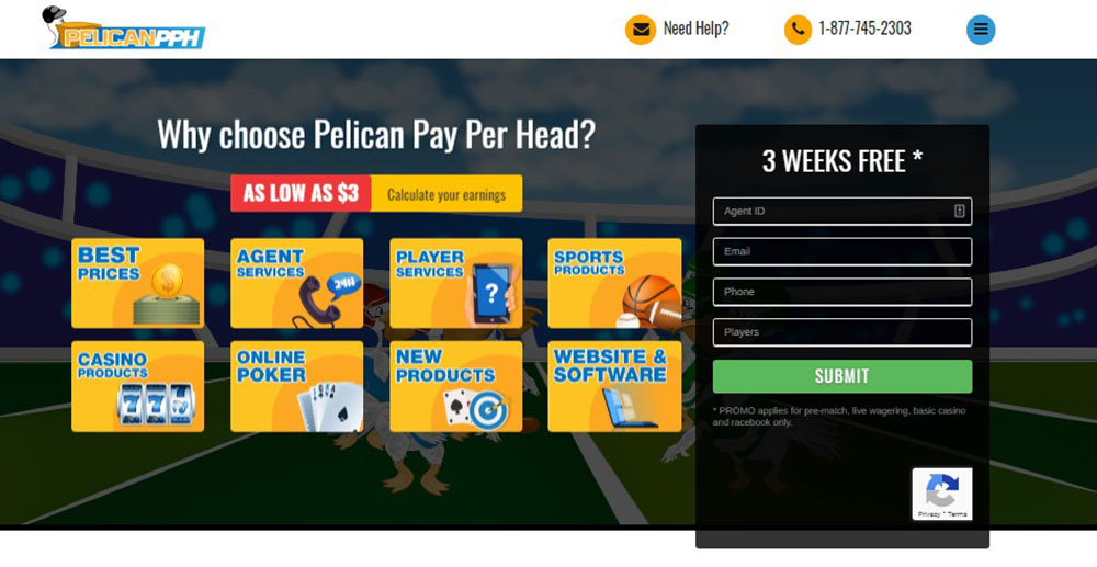 PelicanPPH Pay Per Head Review