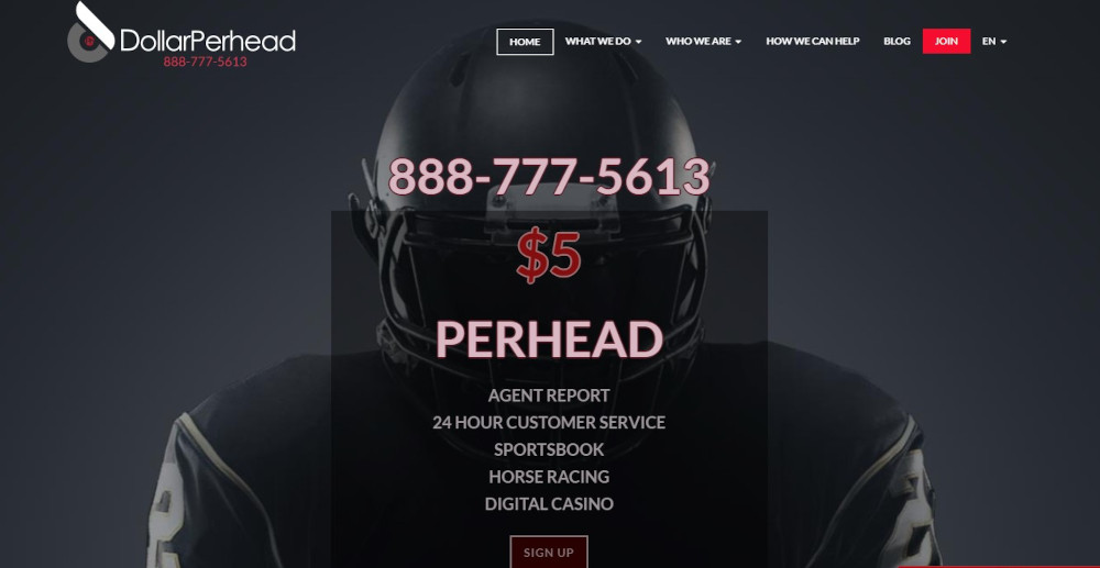 DollarPerHead.com Bookie Pay Per Head Review