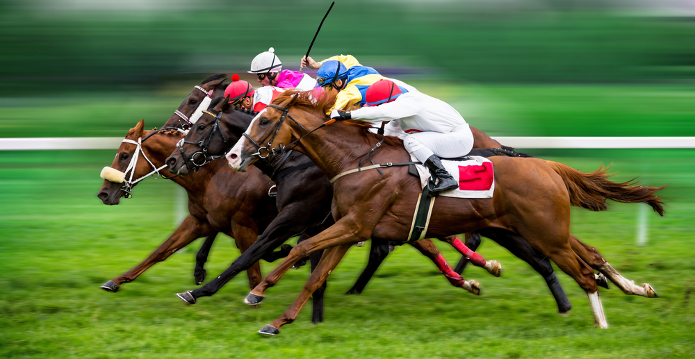 Mastering the Yankee Horse Betting Strategy