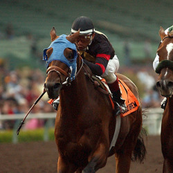 5 Essential Tips for Newcomers to Horse Race Betting