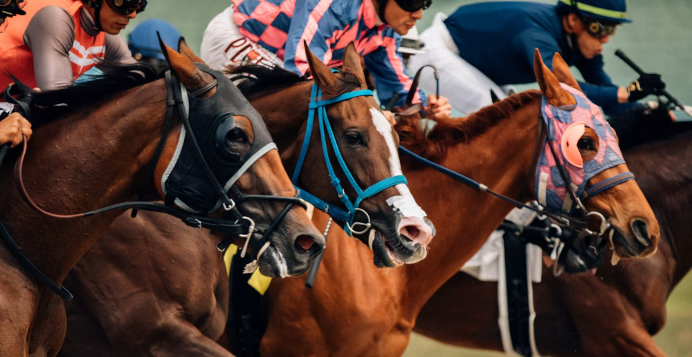 5 Essential Tips for Newcomers to Horse Race Betting