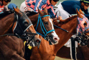 5 Essential Tips for Newcomers to Horse Race Betting